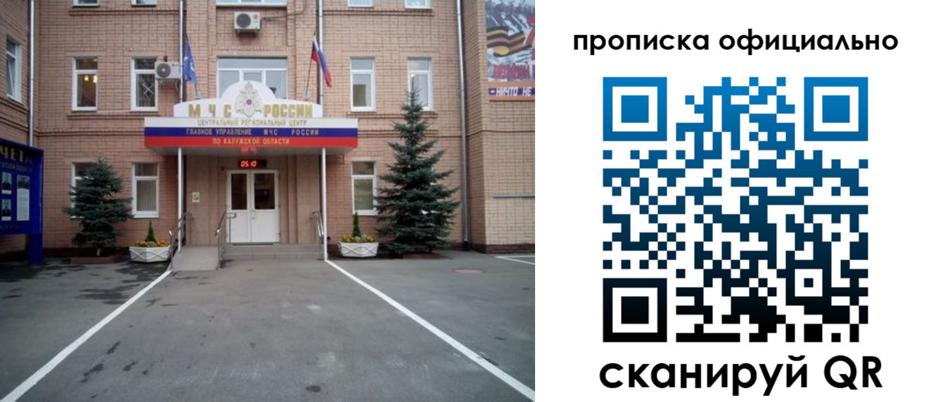 прописка для школы в Лисках